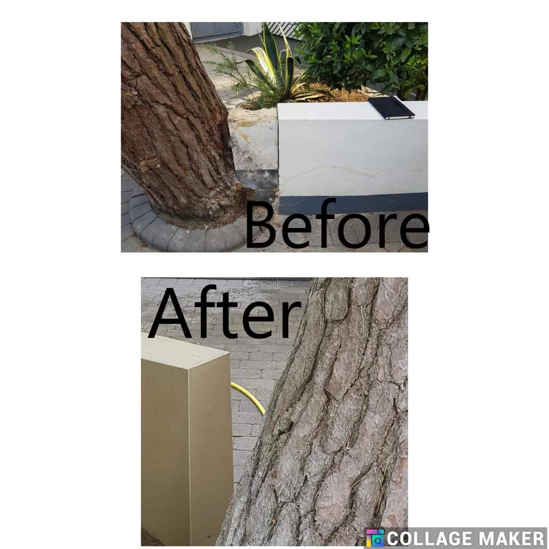 Before and after — Project 34